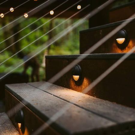 IndexThe Treeframe Cabin别墅 外观 照片