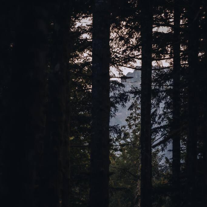 IndexThe Treeframe Cabin别墅 外观 照片