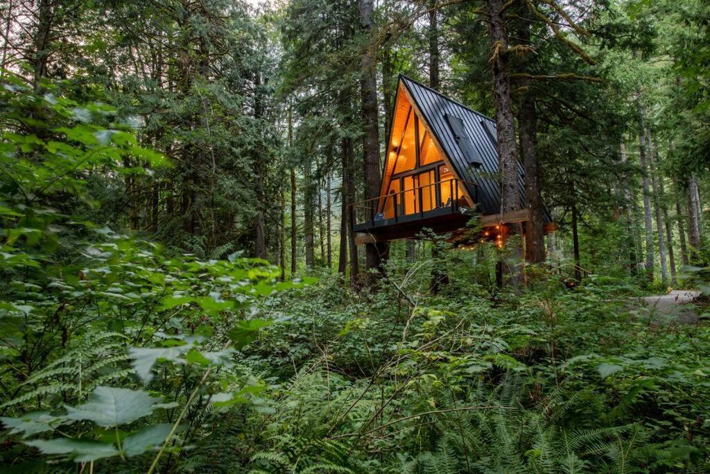 IndexThe Treeframe Cabin别墅 外观 照片